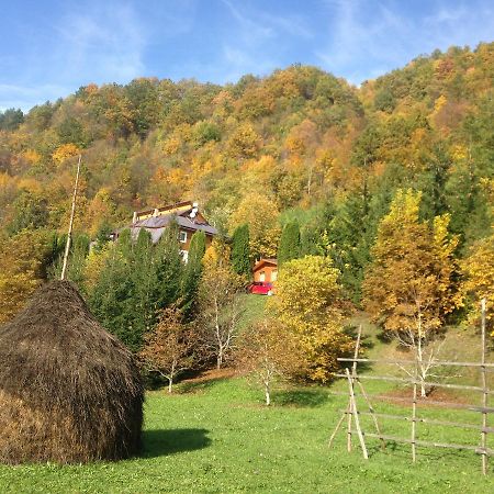 Vila Flora Viseu De Jos Dış mekan fotoğraf