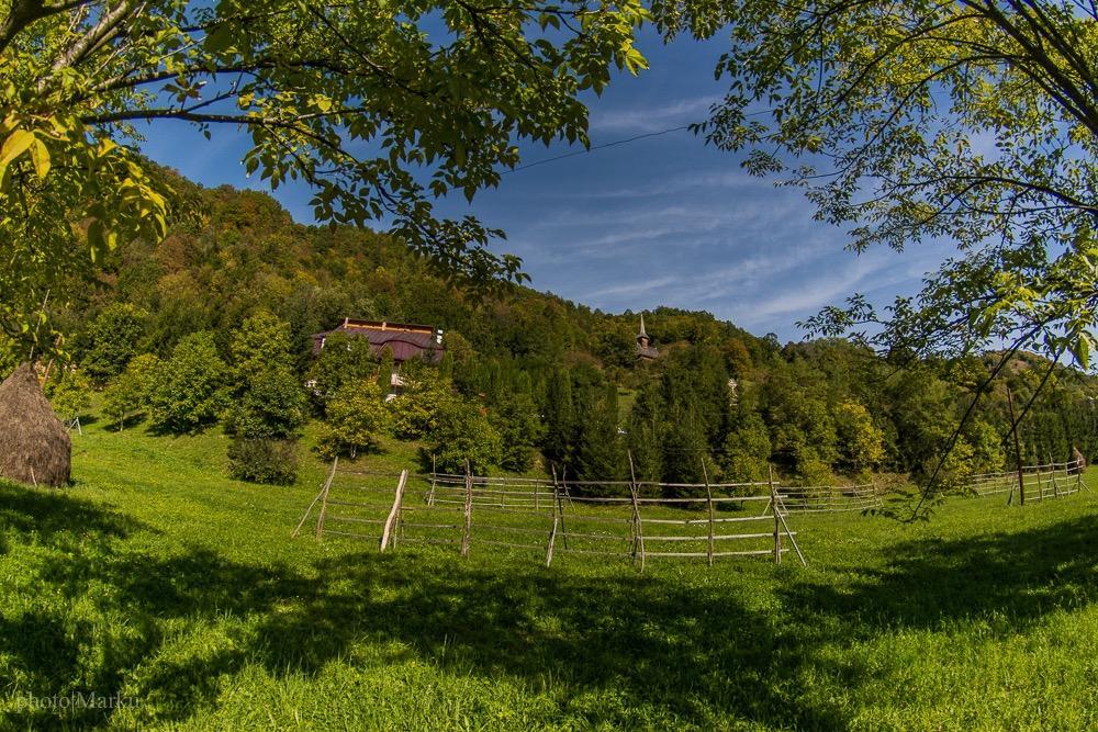 Vila Flora Viseu De Jos Dış mekan fotoğraf